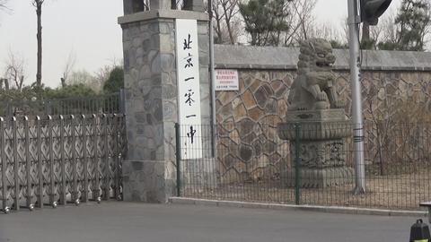 舞蹈地膠 舞蹈地膠